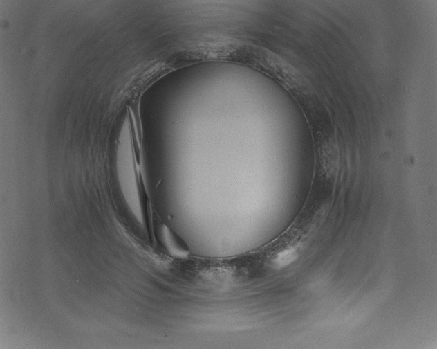 X0000076450594200610061324