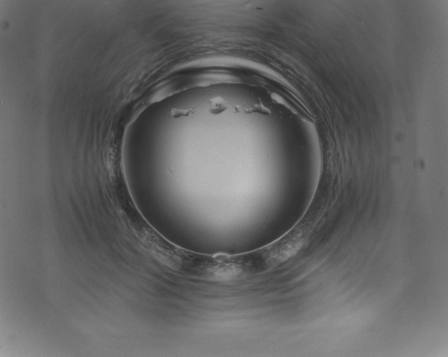 X0000076450604200610061324