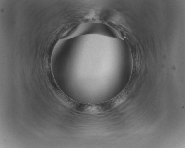 X0000076450611200610061324