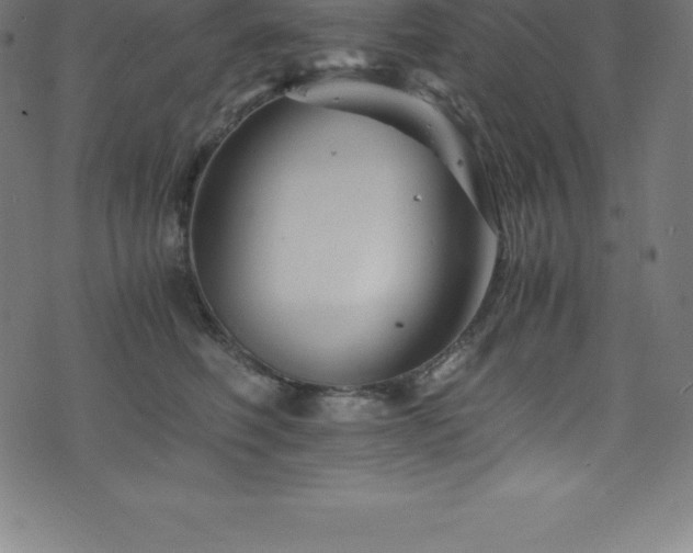 X0000076450614200610061324