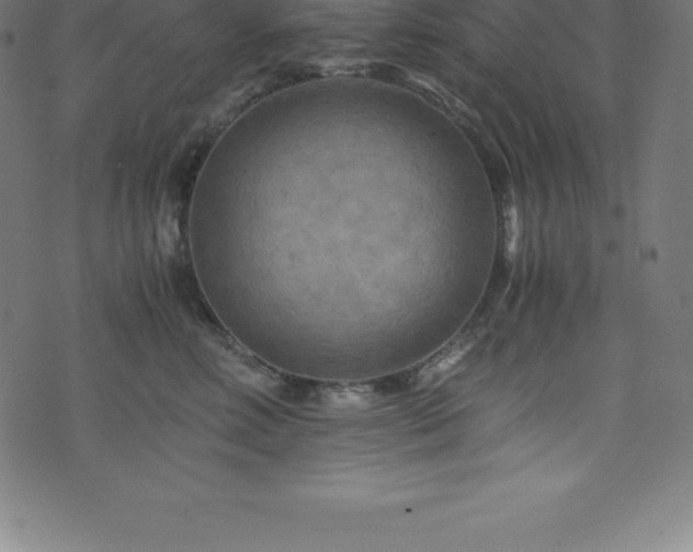 X0000076450618200610061324
