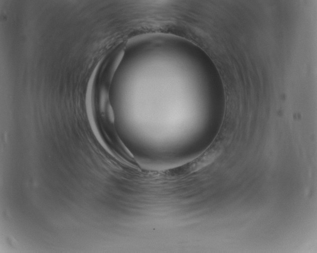 X0000076450624200610061324