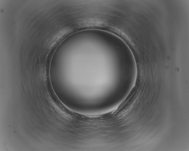 X0000076450629200610061323