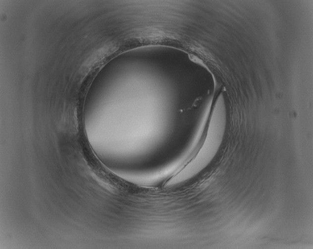 X0000076450638200610061323