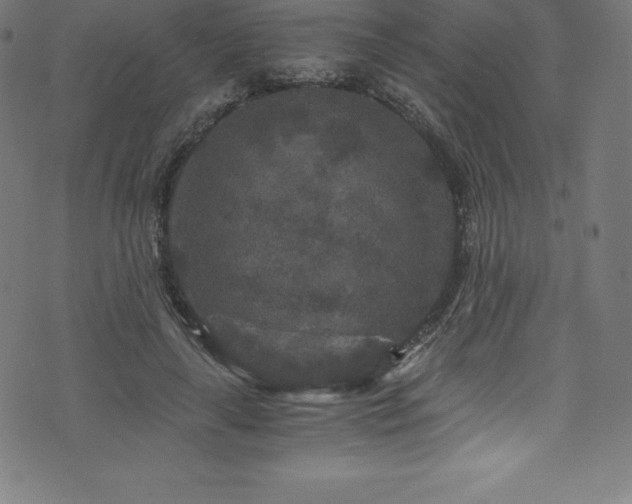 X0000076450643200610061323