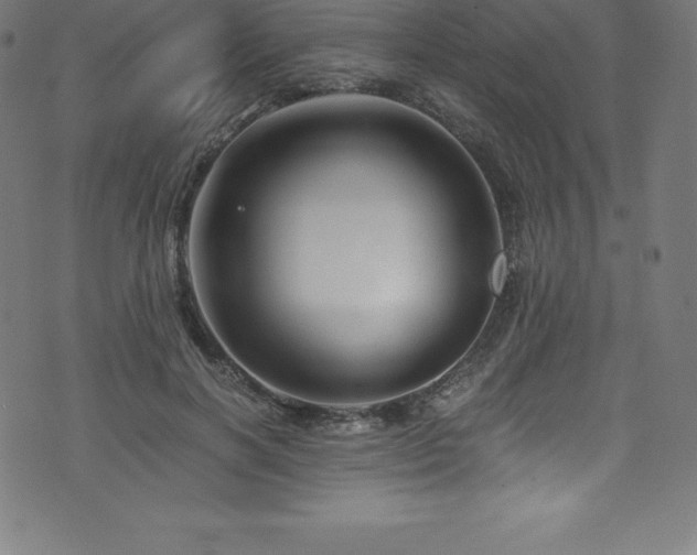 X0000076450646200610061324