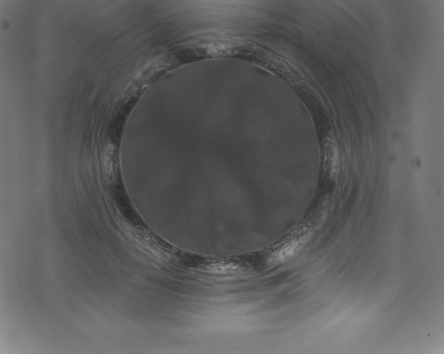 X0000076450650200610061324