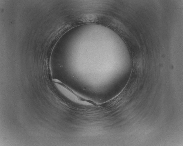 X0000076450652200610061324