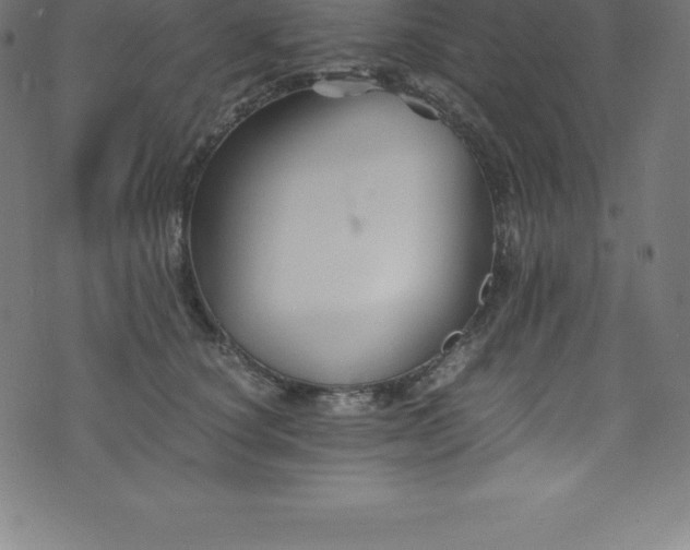 X0000076450660200610061324