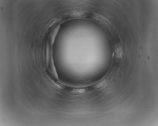 X0000076450665200610061324