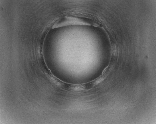 X0000076450670200610061324