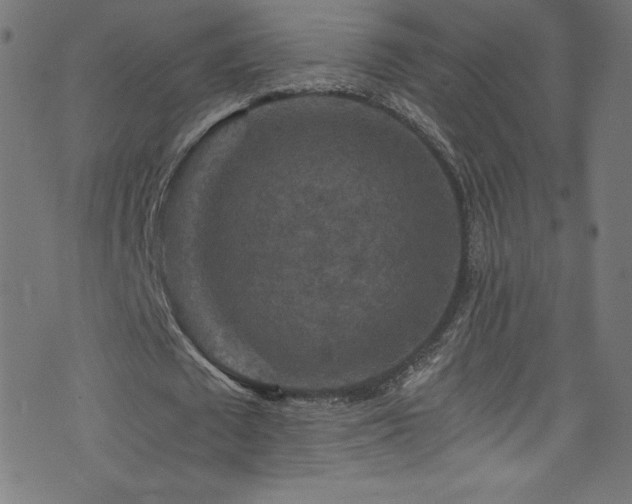 X0000076450673200610061323