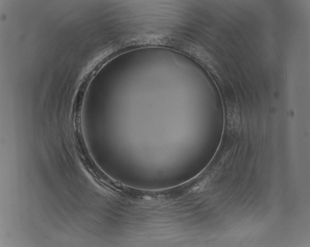 X0000076450674200610061323