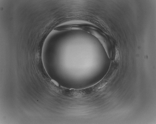 X0000076450697200610061323