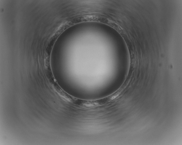 X0000076450712200610061323