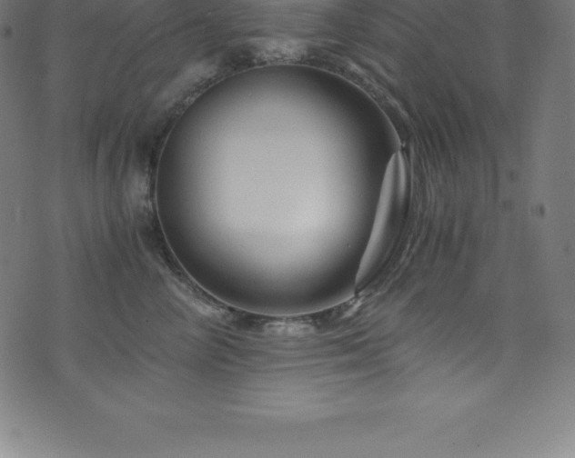 X0000076450714200610061322