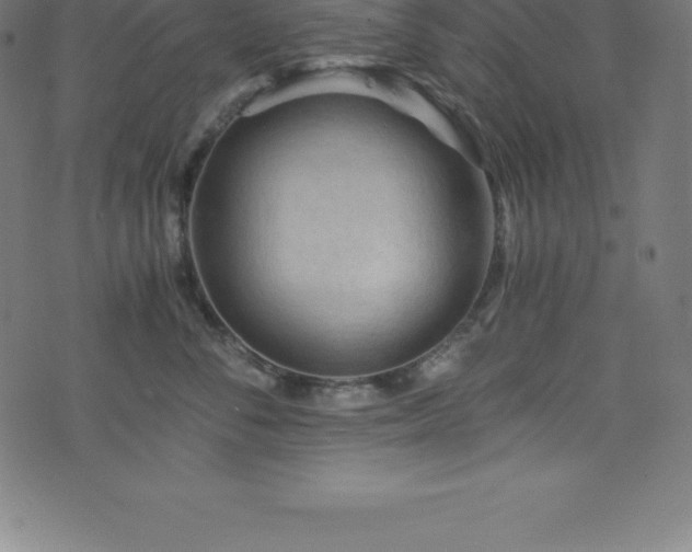 X0000076450716200610061322