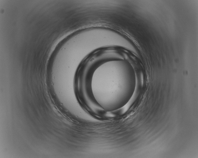 X0000076450724200610061322