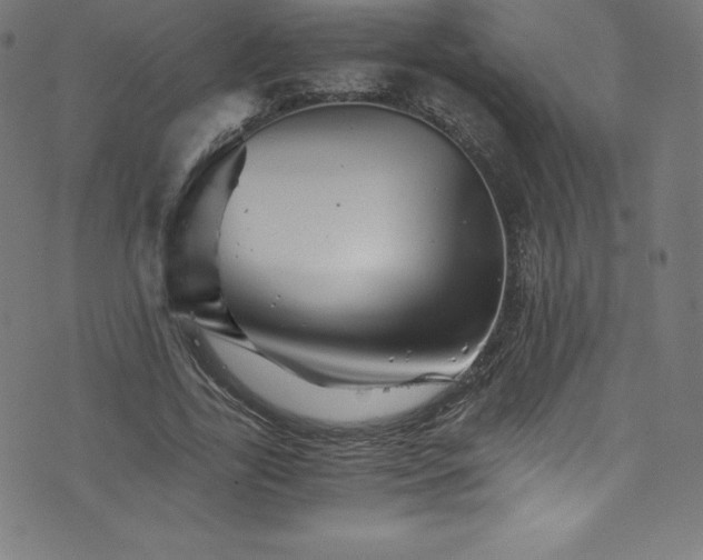 X0000076450731200610061322