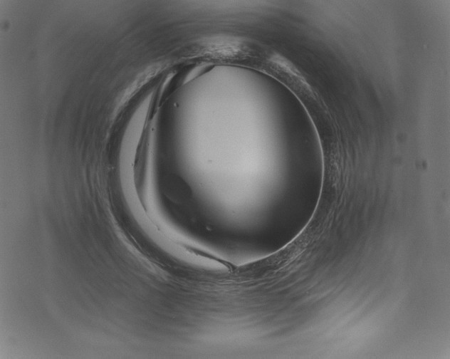 X0000076450734200610061322