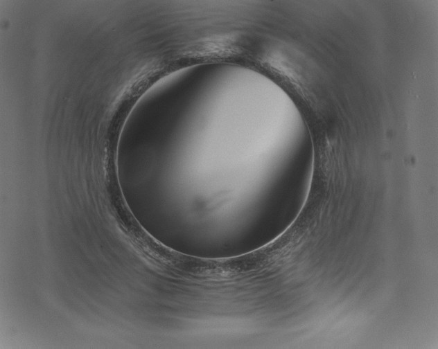 X0000076450735200610061322