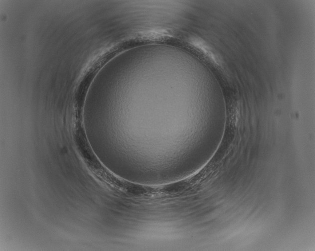 X0000076450736200610061322