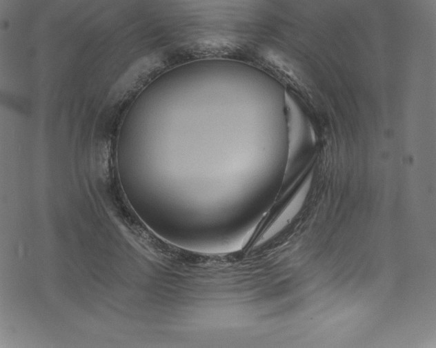 X0000076450742200610061322