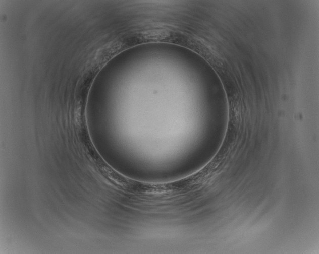 X0000076450745200610061322