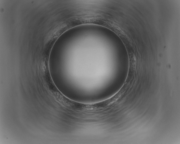 X0000076450746200610061322