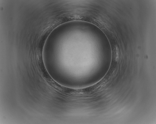 X0000076450747200610061322