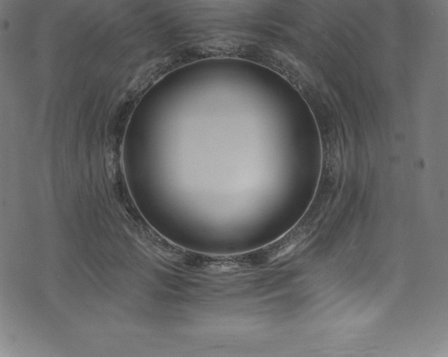X0000076450749200610061322