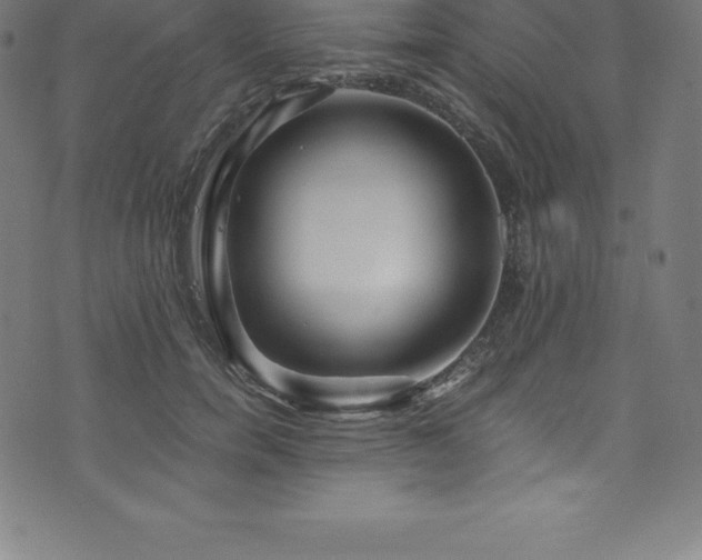 X0000076450750200610061322