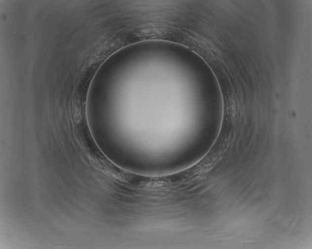 X0000076450751200610061322