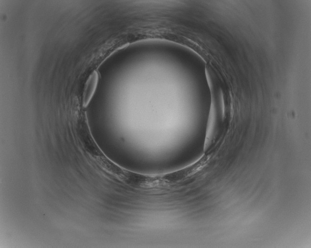 X0000076450752200610061322