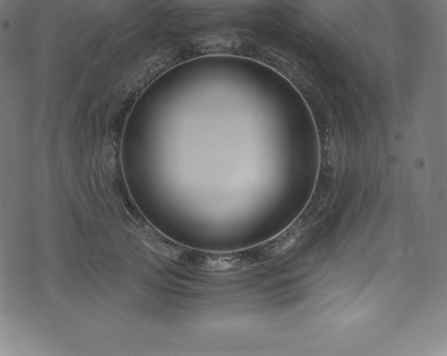 X0000076450753200610061322