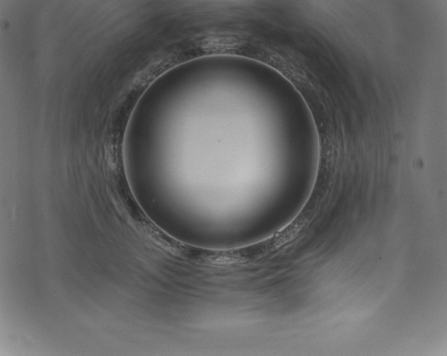 X0000076450755200610061322
