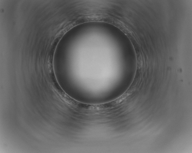 X0000076450764200610061322