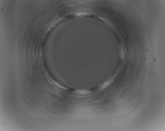 X0000076450766200610061322