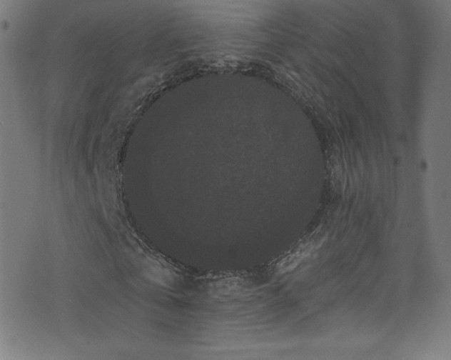 X0000076450769200610061322