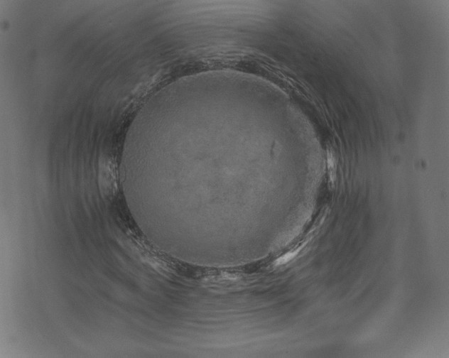 X0000076450772200610061322