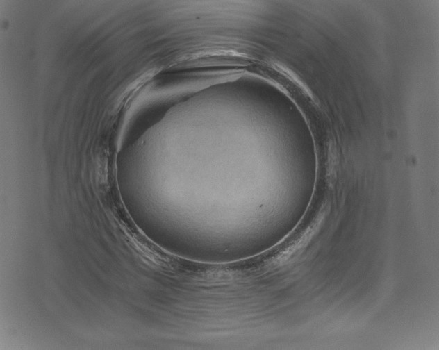 X0000076450777200610061321