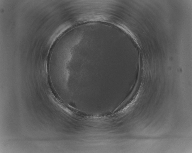 X0000076450790200610061321