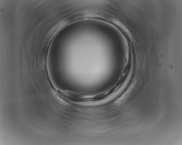 X0000076450801200610061321