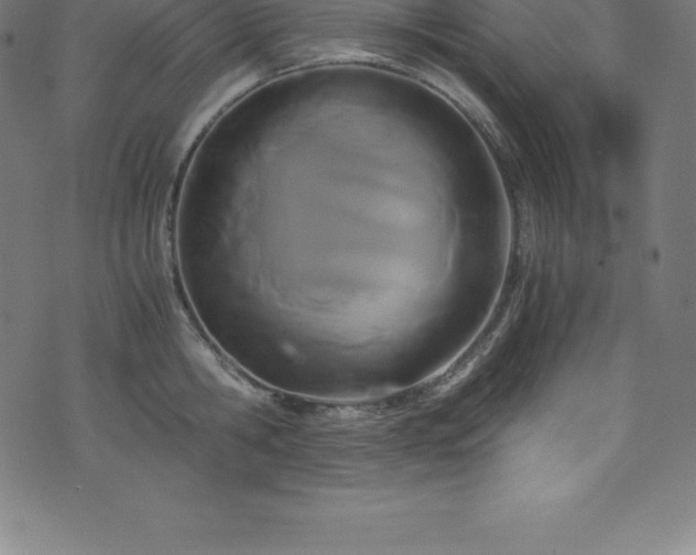 X0000076450806200610061321