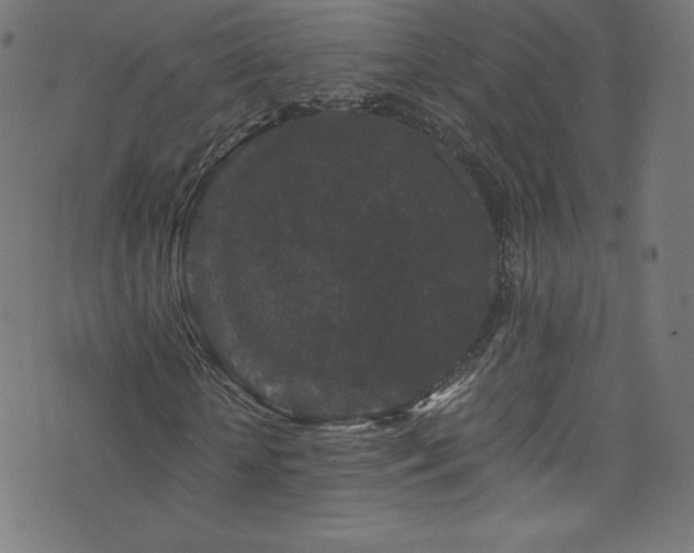 X0000076450818200610061320