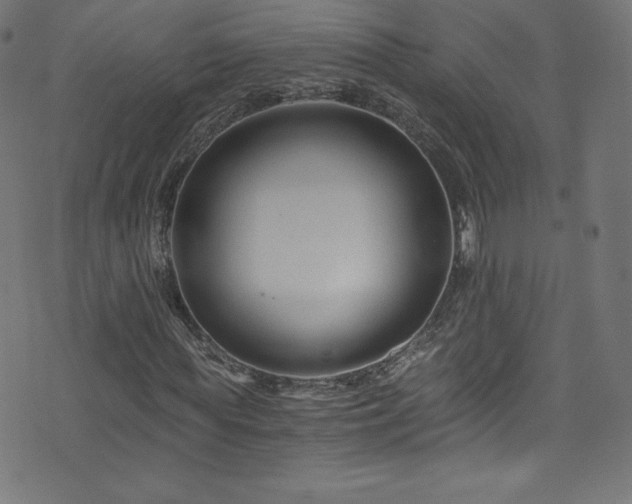X0000076450819200610061320