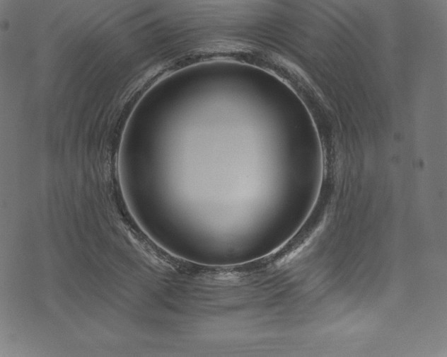 X0000076450833200610061320