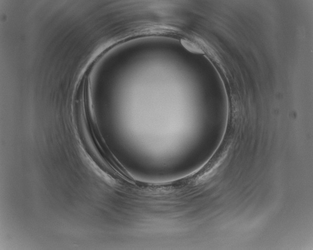 X0000076450843200610061320