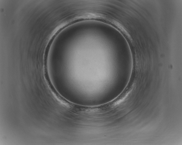 X0000076450845200610061321