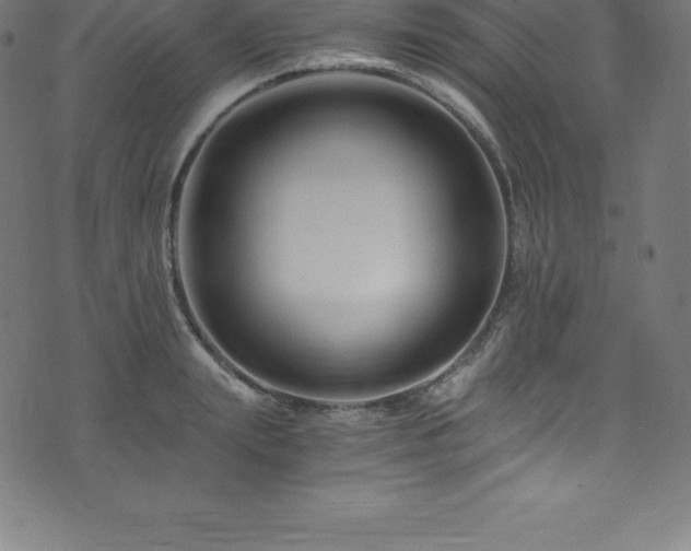 X0000076450847200610061321